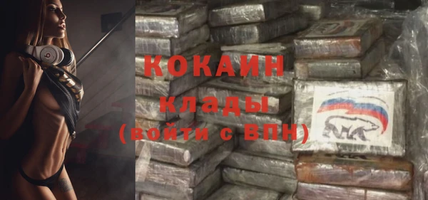 стафф Михайлов