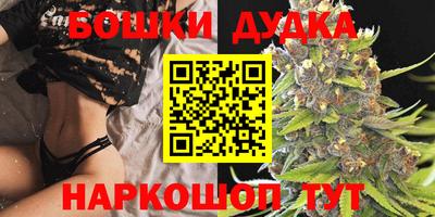 apvp Кандалакша