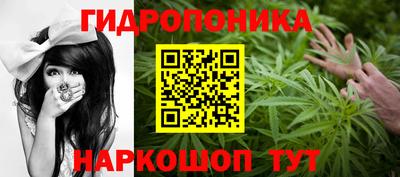 apvp Кандалакша