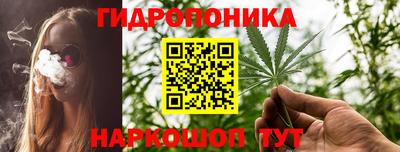 дурь Камышлов