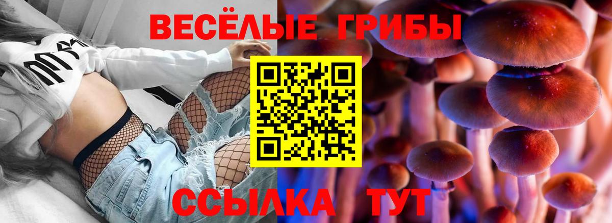 Копейск  купить закладку  Вход с VPN  Псилоцибиновые грибы мухоморы 